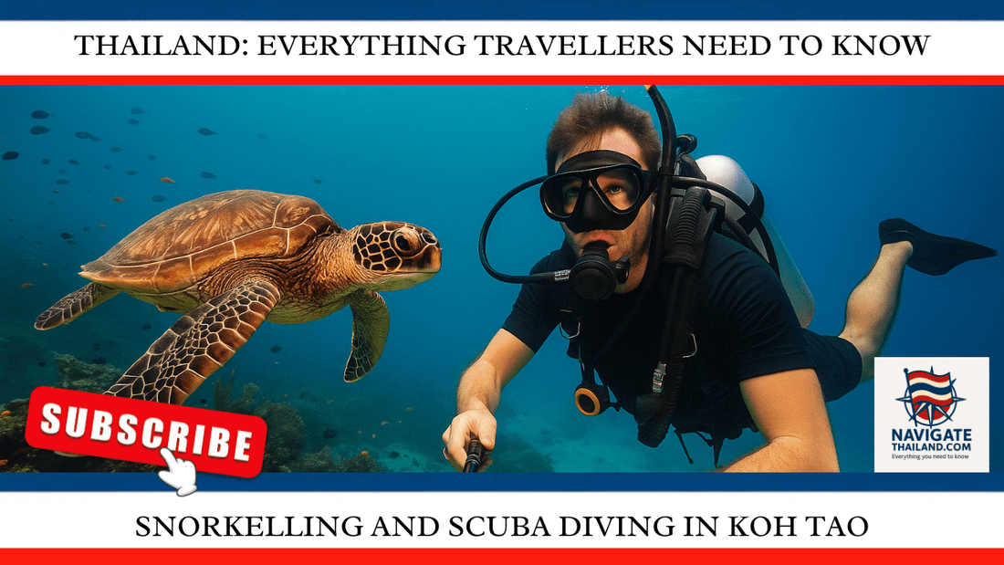 Snorkelling and Scuba Diving in Koh Tao: A Complete Guide for Adventure Seekers - Navigate Thailand