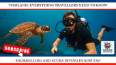 Snorkelling and Scuba Diving in Koh Tao: A Complete Guide for Adventure Seekers - Navigate Thailand