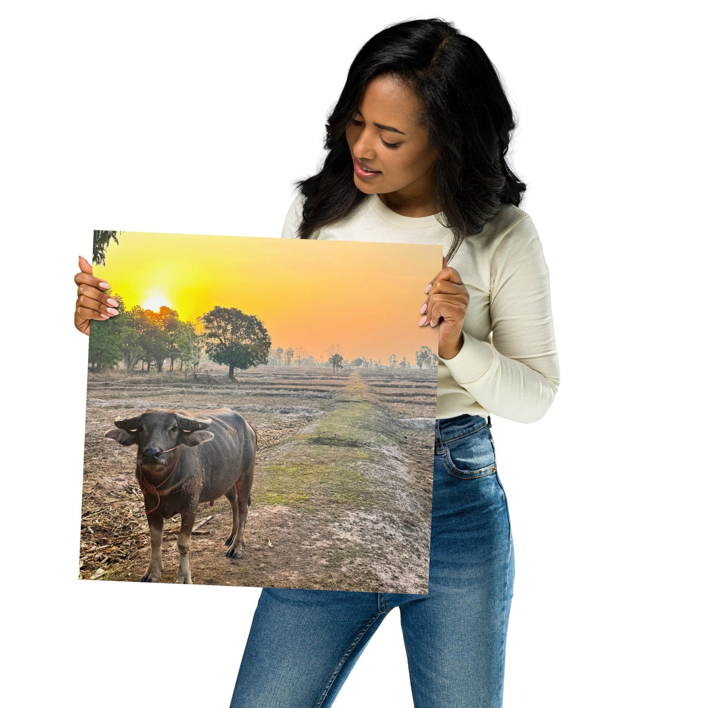 Isaan Soul – Buffalo at Sunrise Poster - Navigate Thailand