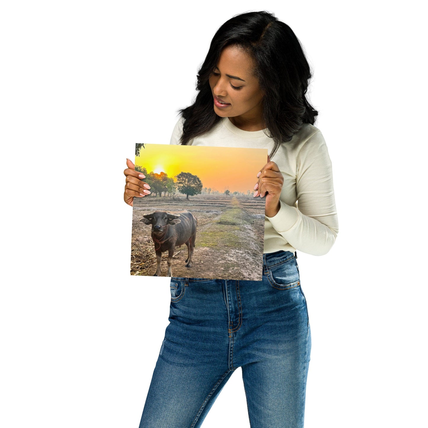 Isaan Soul – Buffalo at Sunrise Poster - Navigate Thailand