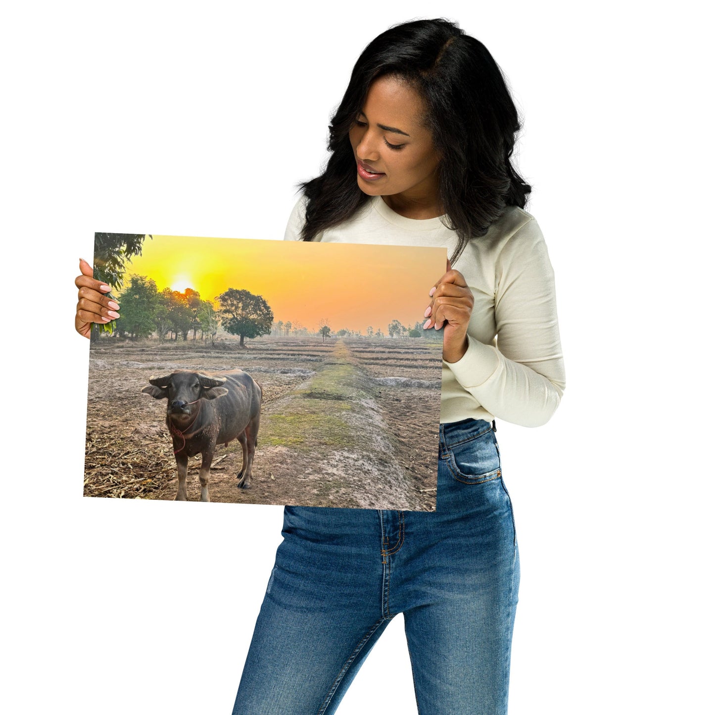 Isaan Soul – Buffalo at Sunrise Poster - Navigate Thailand