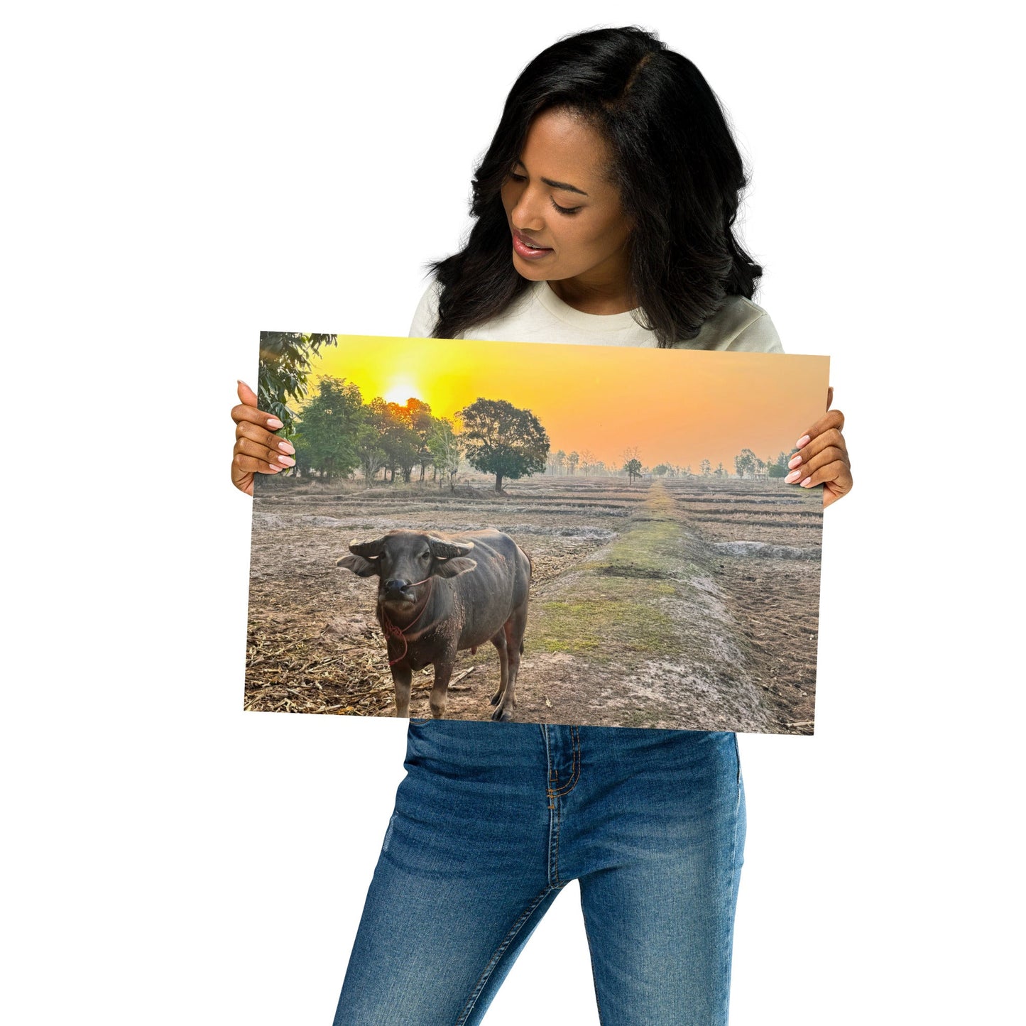 Isaan Soul – Buffalo at Sunrise Poster - Navigate Thailand