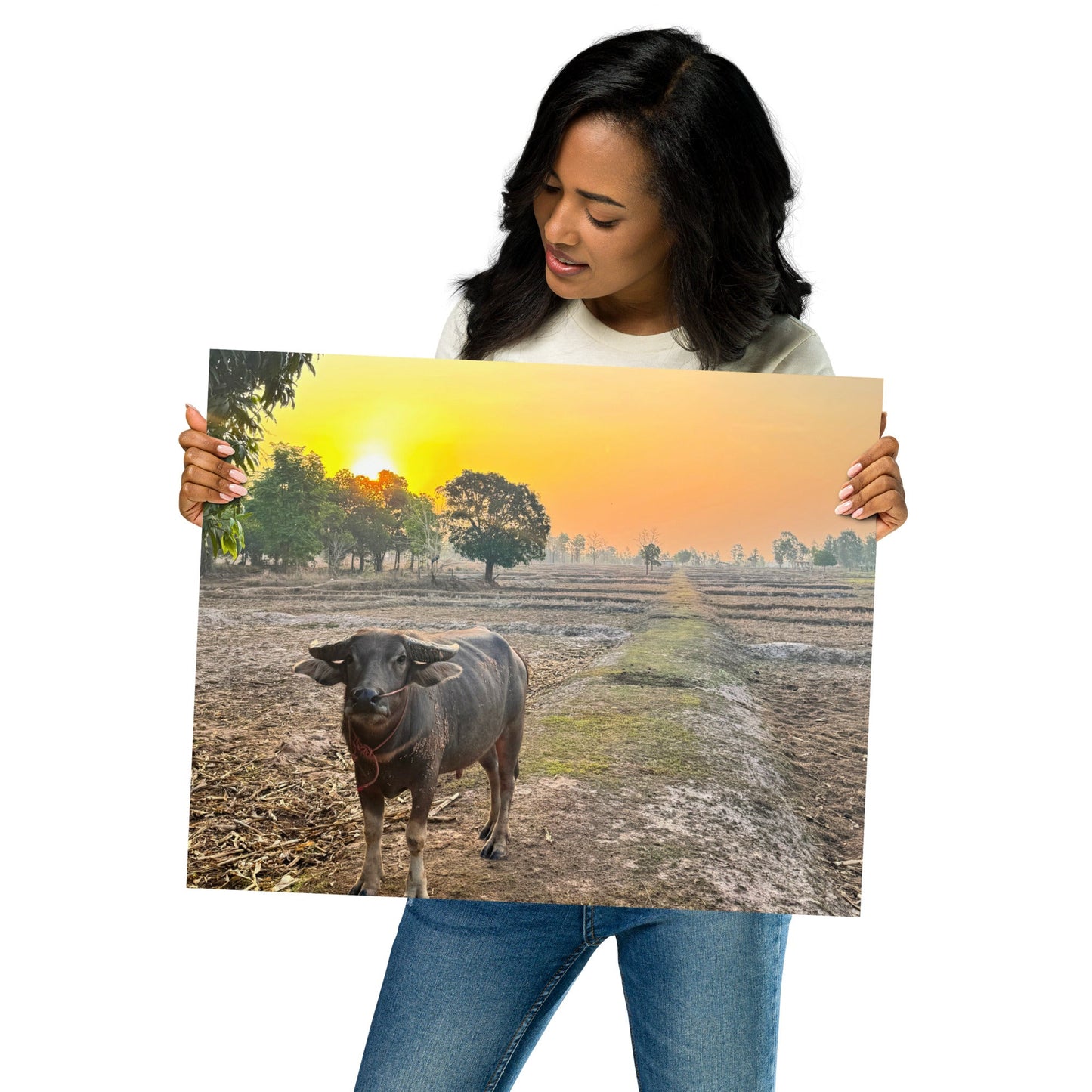 Isaan Soul – Buffalo at Sunrise Poster - Navigate Thailand