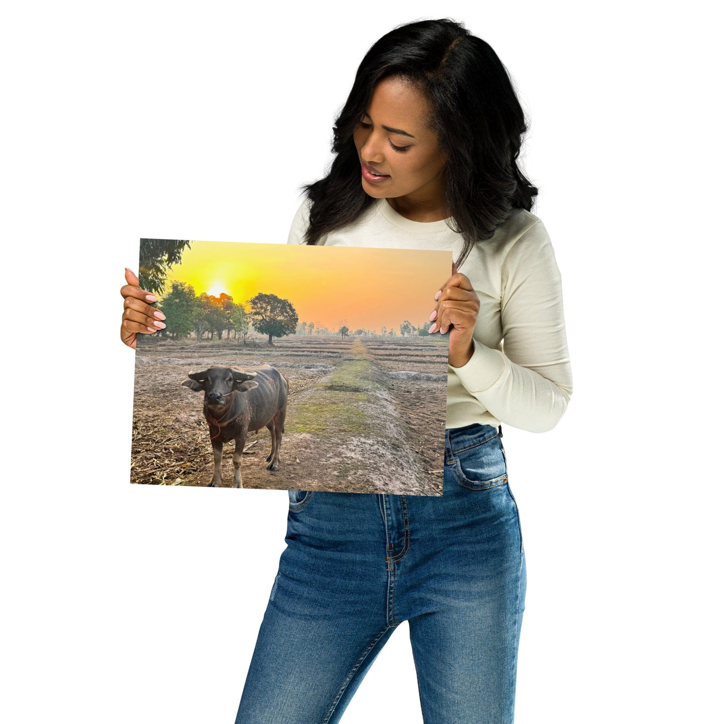 Isaan Soul – Buffalo at Sunrise Poster - Navigate Thailand