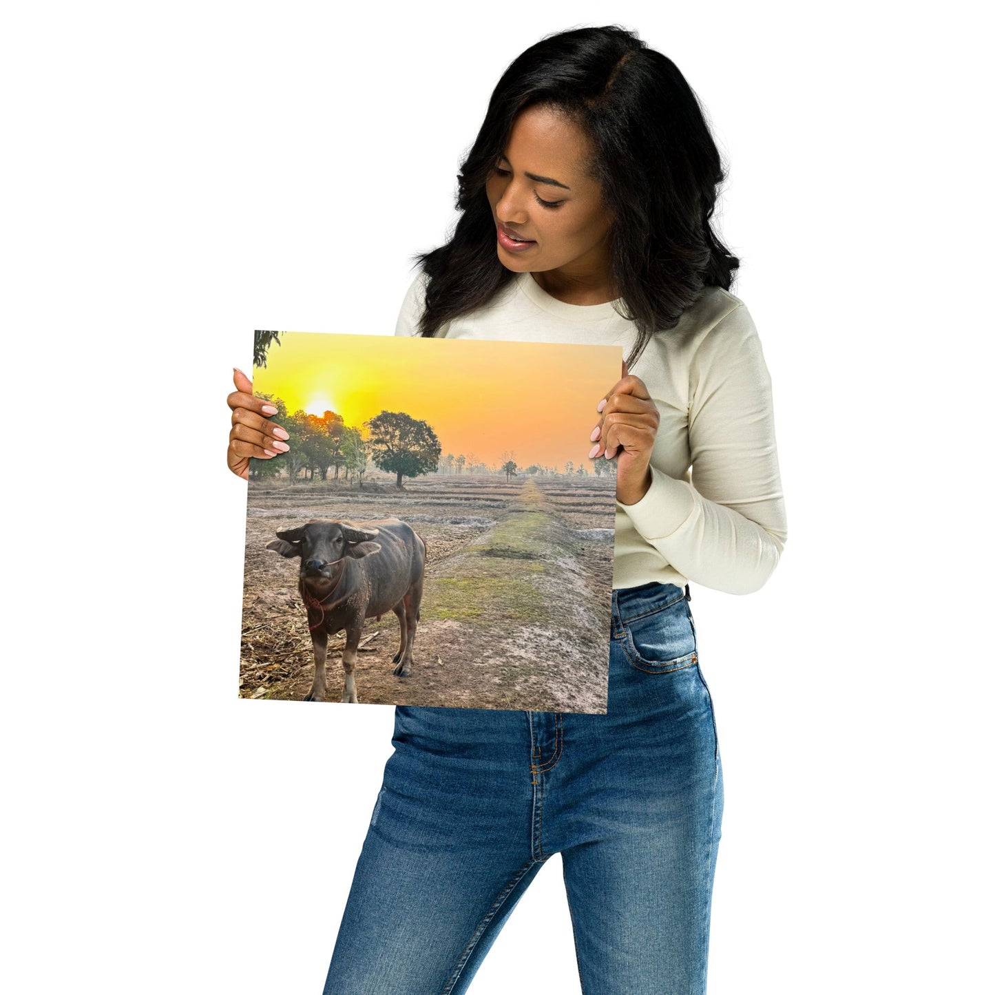 Isaan Soul – Buffalo at Sunrise Poster - Navigate Thailand