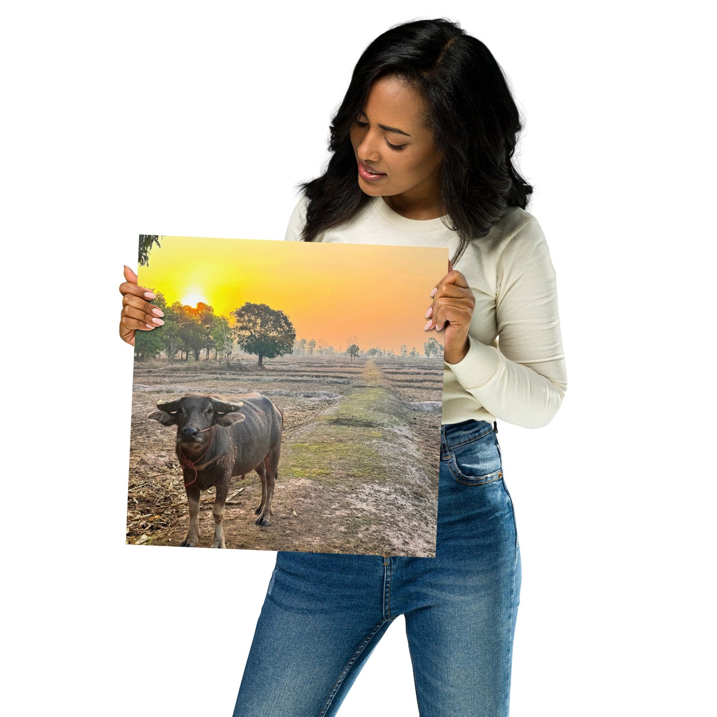 Isaan Soul – Buffalo at Sunrise Poster - Navigate Thailand