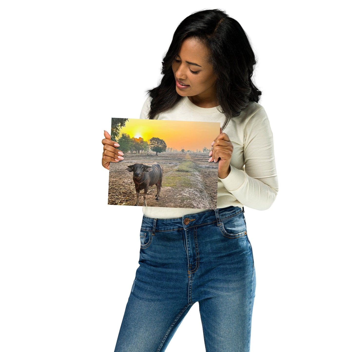 Isaan Soul – Buffalo at Sunrise Poster - Navigate Thailand