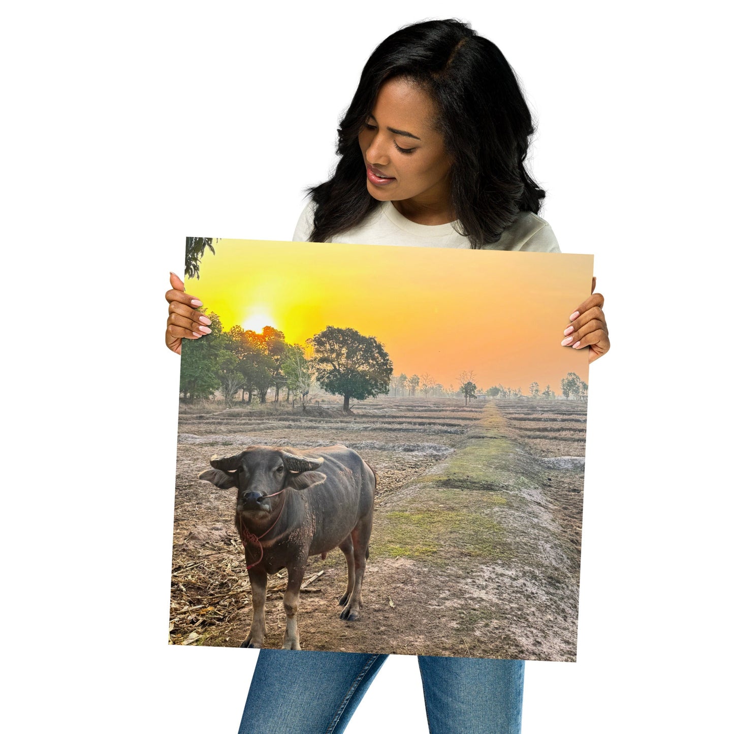 Isaan Soul – Buffalo at Sunrise Poster - Navigate Thailand
